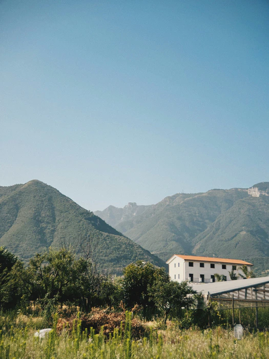 Bordeaux wine region