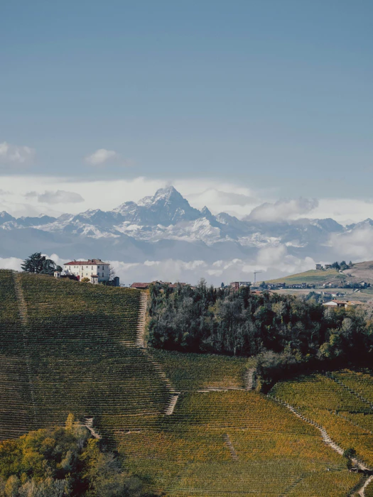 Piedmont wine region