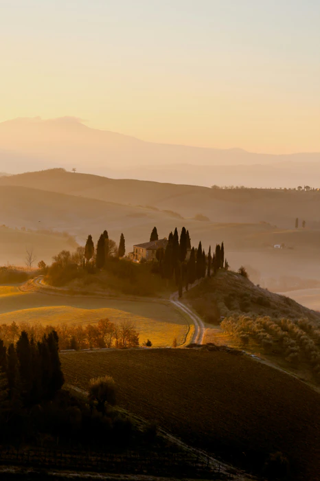 Tuscany wine region